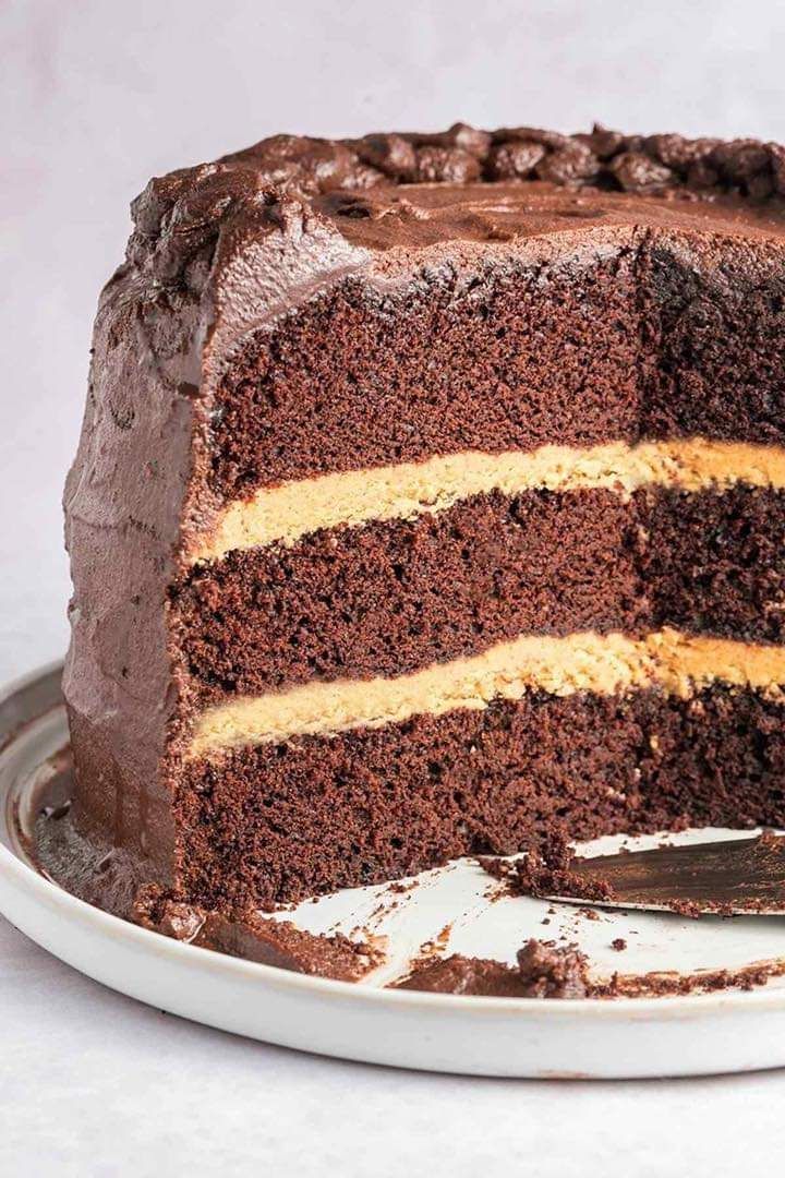 Chocolate Peanut Butter Cake – innconx
